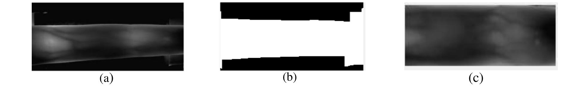 Figure 4.(a)Database image,(b)Mask obtained ,(c)Cropped finger.  Boundary of the finger is detected by computation of the masking value in y dimension for each value along the x dimension. This masking value has a point of maximization which is actually the boundary of the finger in y direction [21].The database image is then cropped by keeping the portion of only those rows which are fully white on the correspoinding mask(see figure 4). 