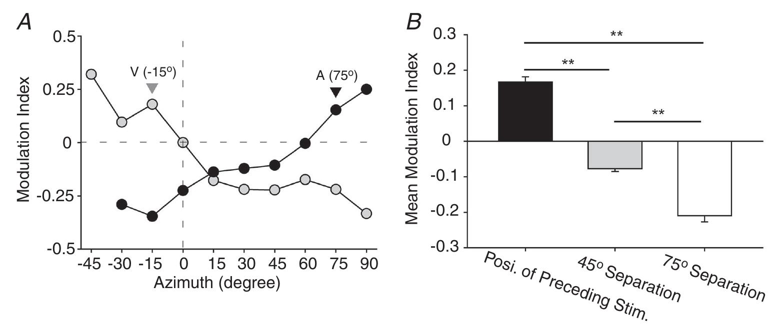 Figure 6. The preceding response caused the location-specific change in the following response  A, modulation index plotted for each azimuthal site recorded. Note that this is the same neuron as shown ir Figs. 2 (grey) and 3 (dark). This is calculated by the function: (Rpreceded — Rnon-preceded/(Rpreceded + Rnon-preceded) Roreceded ANd Rnon-preceded are the magnitude of the responses recorded with and without the preceding stimulus,  respectively. B, mean modulation index across the population by the position of the preceding stimulus eithe being at (black), 45° (grey) or 75° (white) distant from the preceding stimulus.  We next aimed to investigate whether RFs could be biased more if the preceding stimulus was further separated from the RF centre. Tests were conducted in 67 neurons (n = 35 tested for auditory RF shifts and n = 32 for visual). A typical example is given in Fig. 7A (with RF profiles in Fig. 7B). Increasing the spatial separation from an inter- mediate gap (30—45° away) to a still larger spatial gap (60-75° away) failed to drive the RF shift more (Fig. 7B, bottom). The population showed similar results (Fig. 7C). The mean shift distance in each modality in both inter- mediate and large gap conditions was significantly larger than that in the small gap condition (intermediate vs. small and large vs. small: two-tailed P < 0.001, paired t test) and the mean shift distance in both intermediate and large spatial gap conditions was very close (large vs. intermediate: auditory, 7.6 + 4.6° vs. 7.4 + 4.5°, t= 0.432, d.f. = 34, two-tailed P value = 0.669, paired f test; visual, 6.6 + 3.3° vs. 6.8 + 3.4°, t= —0.539, df. = 31, two-tailed Pvalue = 0.594, paired ttest). Taken altogether, these results suggest the outer limit of cross-modal spatial calibration available within the SC.   As a conserved effect, the population showed the same influence. In more than half of cases (60%; 157/263), the facilitative effect was induced when the preceding stimulus was close to the tested location and was rarely seen in far 