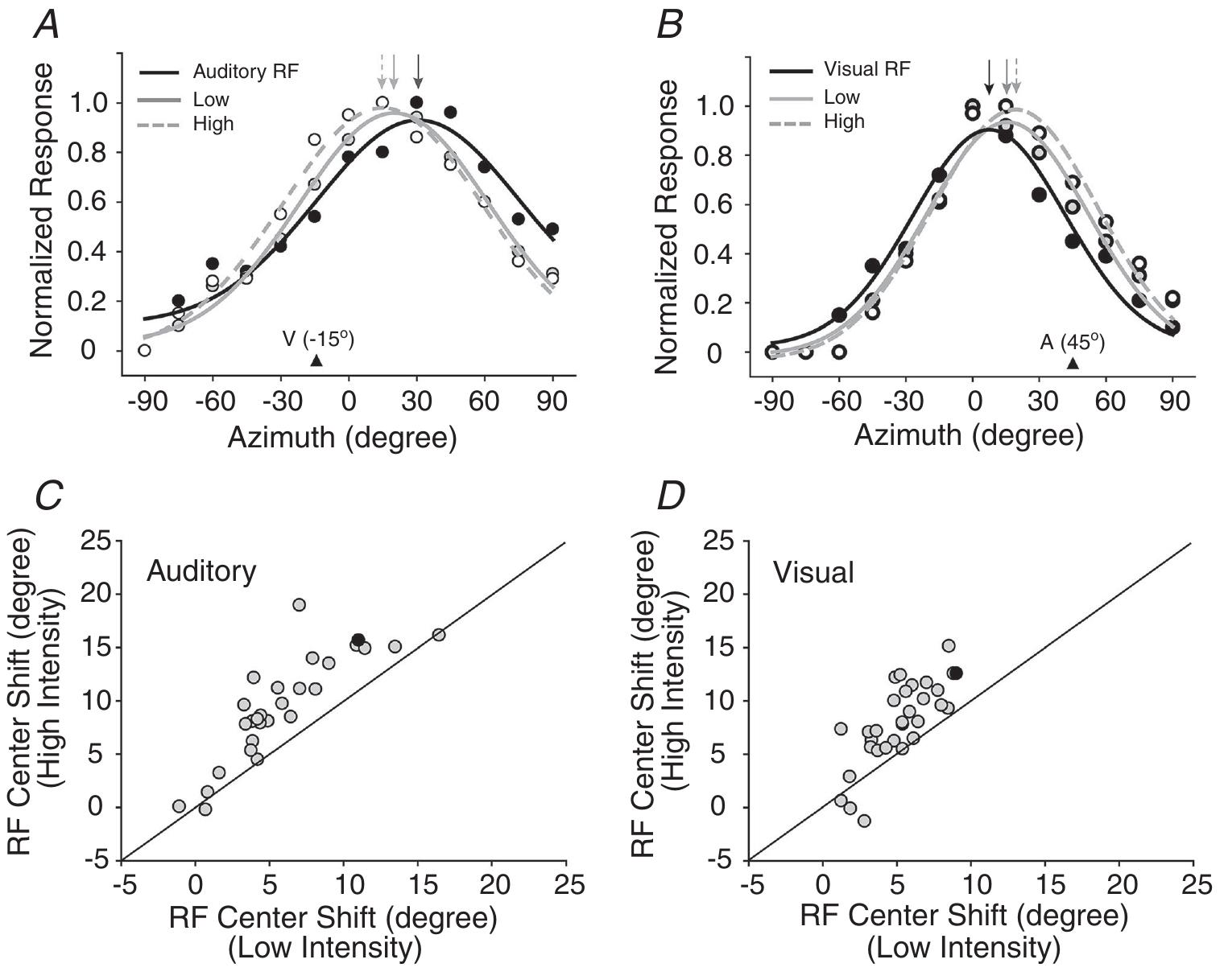 Figure 9. ine errect Of preceding StIMUIUS INTENSITY ON AF SNITT  A, profiles of an auditory RF without a preceding stimulus (black line) or with a high- (dashed line) or low-intensit (grey line) preceding visual stimulus (location marked on the abscissa). B, a similar series of plots but for visue RFs. In each example, it was the stronger preceding stimulus that evoked the bigger RF shift. C and D, shift of R centre in the low-intensity condition was compared with that in the high-intensity condition for auditory (C) an  visual (D) modalities. Conventions are the same as those in Fig. 8.  The data from the sequential presentation of cross-modal stimuli illustrate how different sensory inputs to SC  multisensory neurons interact spatially. However, in the natural environment, visual and auditory stimuli from the same event are often presented simultaneously. Could a similar RF shifting effect be induced in that condition? This possibility was examined in a different subset of 61 neurons and a typical example is presented in Fig. 10. The responsiveness of a neuron to the location-fixed auditory stimulus, the visual stimulus (presented at different azimuthal locations) and their pairing (pre- sented simultaneously) was recorded (Fig. 10A). The multisensory responses were sorted according to the spatial position of the visual stimulus and then the spatial RF profiles could be calculated (referred to here as the multisensory spatial RF). It is noteworthy that, with the simultaneous presentation of auditory stimulus in the lateral side, the multisensory RF was substantially shifted toward the lateral side (Fig. 10B and C). Similar to the data shown in Fig. 6, the modulation index (Fig. 10C) also shows a significant decline with an increasing spatial gap between the visual and auditory stimuli, demonstrating that the multisensory RF shift could be attributed to the spatial principle of multisensory integration (Stein & Stanford, 2008). Population data also showed that the  