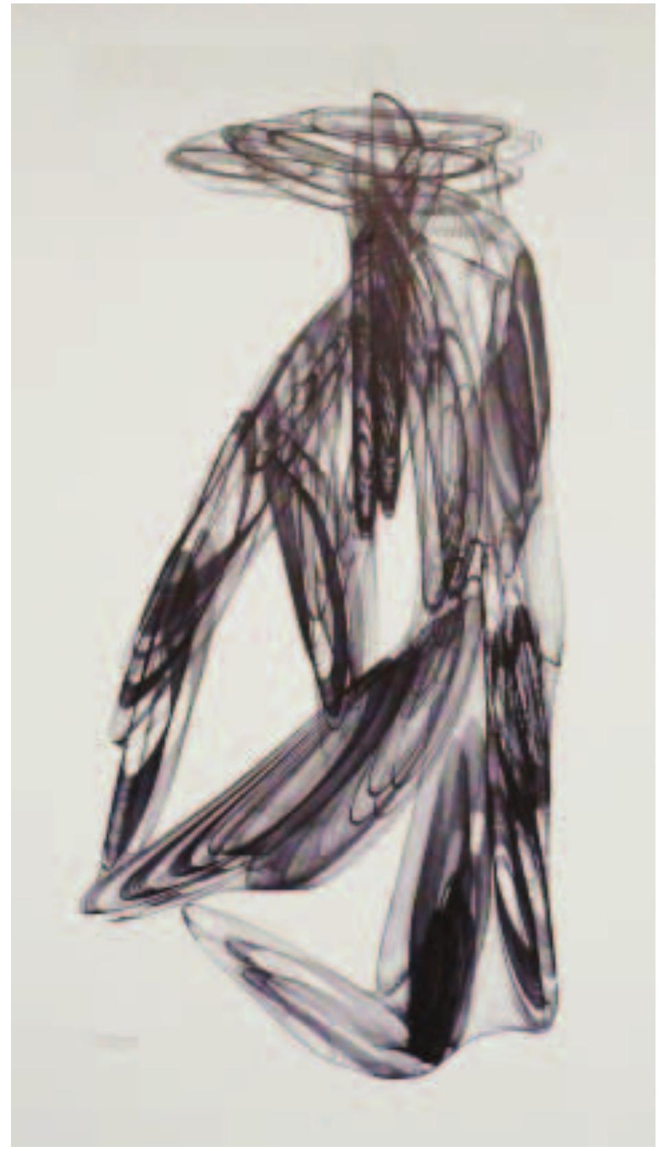 Fig. 5. D.P. Henry, Conversation between birds, no. 032, Drawing Machine  One, black biro on smooth, white card; 44 x 18 cm, hand embellishments: black lines in ink, 1962. (© Elaine O’Hanrahan)  In his letters to me [20], Henry described how in Drawing Machine One (1961-1962) (Figs 4 and 5), he redistributed the units so that, using only one servomotor, he perfected an original method of ensuring synchronicity and harmoniza- tion between the moving pen and the moving table. A wind- speed and air-speed integrator activated the pen or pens. The drawing paper lay on a table that rotated on a device for 