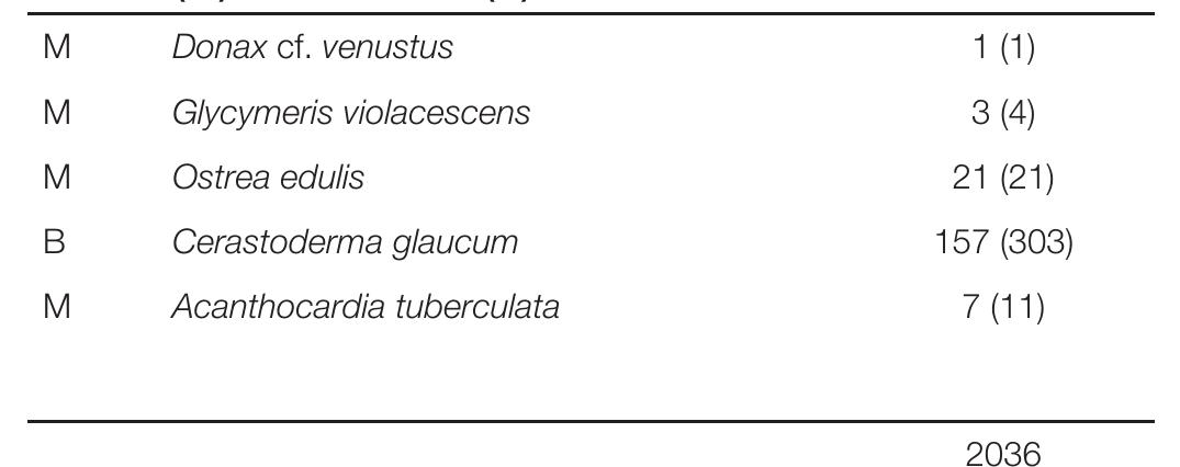 Marine (M) and brackish (B) bivalves 