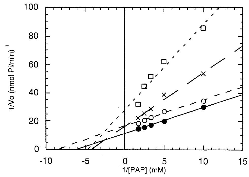 Figure 7. Mode of inhibition by lithium of AHL.  Double reciprocal plots of initial rate versus [PAP] at 0 (@), 5 (O), 10 (Xx) and 30 mm (() Li*, indicating uncompetitive inhibition at low [Lit] and non-competitive inhibition at high [Li*]. A line for 3 mm Li* was completely parallel to the line for no Li*, but, for the sake of clarity, is not shown. Each line of the graph represents the average of at least two independent experiments performed in duplicate. Regression analysis of the data was performed using the KaleidaGraph V.3.0.2 program (Abelbeck software).  The regression coefficients for each line were 0.99823 (@), 0.99006 (0), 0.98973 (x) and 0.97573 (L).  not seem to have PAPS reductases producing PAP, we propose a role for plant PAP phosphatases in the biosyn- thesis of sulphate conjugates and RNA processing and not, as previously assumed (Peng and Verma, 1995; Quintero et al., 1996), in reductive sulphate assimilation. In addition, as previously suggested (Quintero et al., 1996), the inositol polyphosphate 1-phosphatase activity of SAL1 and SAL2 might play a role in the inositol phosphate metabolism. 