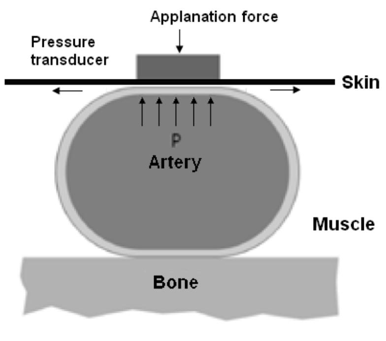 Fig. 4. Diagram of the arterial tonometry method.  Even if the pressure transducer follows the artery perfectly, the pressure pulse transfer to the sensor through the skin is not a perfect bond as it is affected by the elastances of the different layers of muscle, bone, and skin in-between, Fig. 5, so the registered pressure variations exhibit some differences from the actual pressure profile. Generally, any pressure recording at the skin is necessarily different from the pressure effectively registered in the artery, with the related uncertainties introducing distortions in the resulting waveforms. 