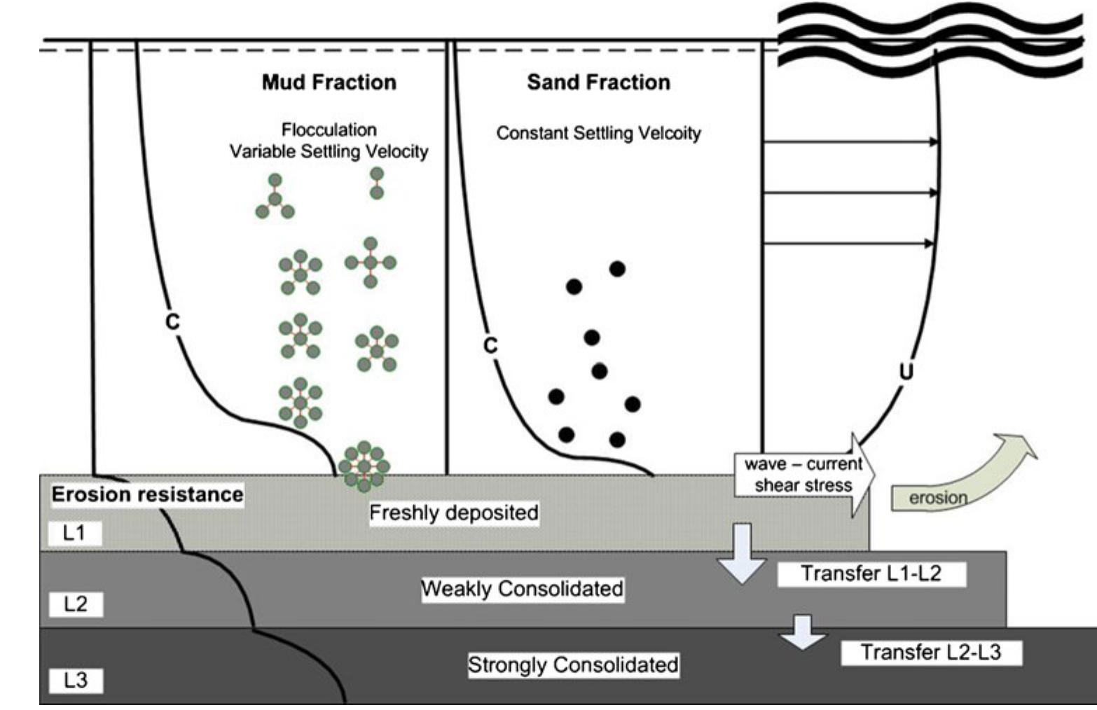 measurements of 0.05 to 7 mm/s collected during March 2007.  w is the settling velocity, c, the near bed sediment concen- tration calculated according to Teeter (1986), 7, the bed shear stress due to skin friction, T,g the critical shear stress for deposition, Ep the erosion rate and 7, the critical shear stress for erosion. 