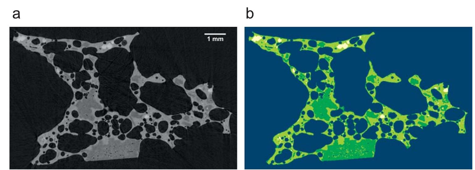 Fig. 10. Scoria sample from the Villarrica volcano (Chile) imaged by means of monochromatic synchrotron radiation 11—CT (energy = 28 keV, voxel size = 14|1m, sample-to-detector distance = 130mm): (a) reconstructed slice; (b) different phases represented using different labels. 