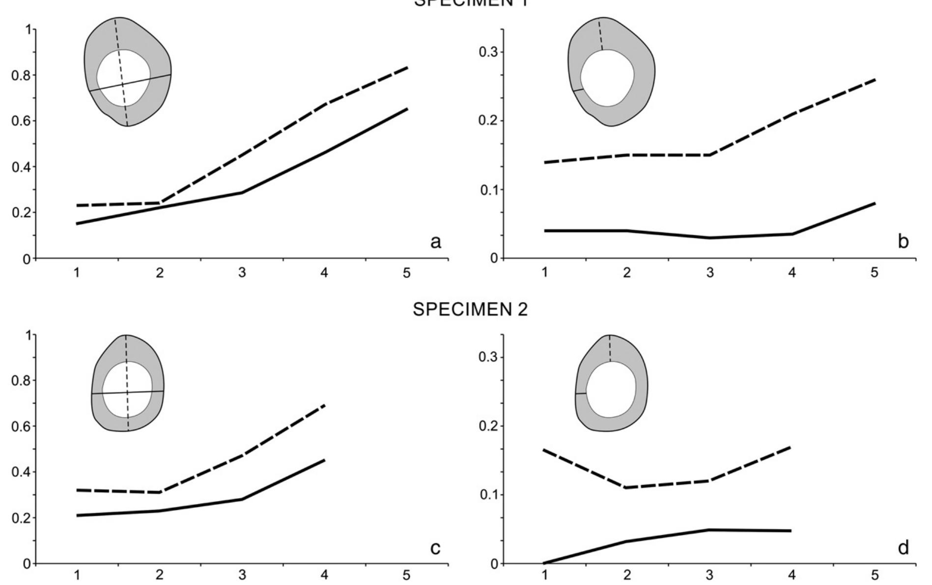 Fig. 9. Increase in tube diameter (a, c) and wall thickness (b, d) in two specimens of tube worms from Sample BJ 2800. The anomalous thickness of the first transect seen in Fig. 9b is due to cementation on the sponge wall. 