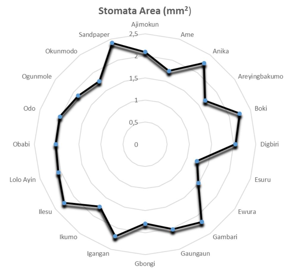 Figure 1. Stomata area of the yam cultivars studied  anisotricytic, isotricytic, tetracytic, staurocytic, and anomocytic (Figure 3 and Table 2). The stomata area was in the range of 1,232.00 pm? and 2,407.00 pm. The D. dumetorum had the least stomata area recorded for all the yam cultivars studied (Figure 1). 