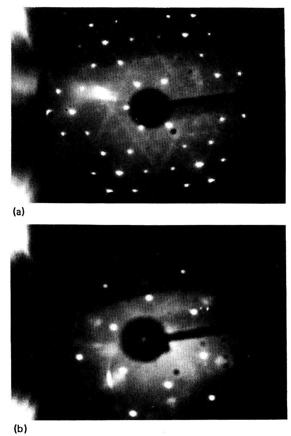 FIG. 1. LEED patterns from the submonolayer Sm-induced 3X2 (a) and (V3XV3)R30° (b) surface structures. Note that the pattern displayed in (b) is not a true (V3 X V3)R 30° pattern. 