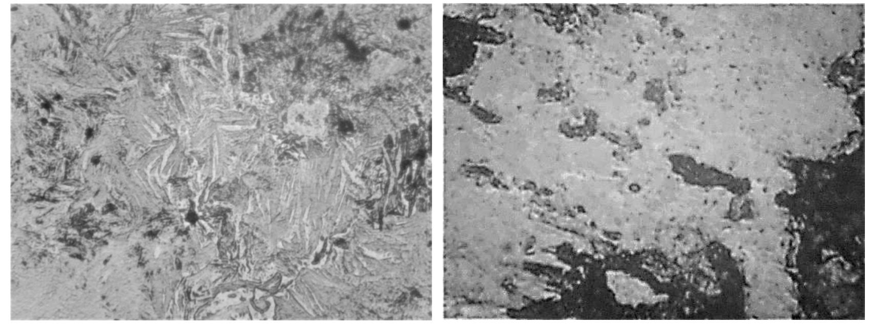 Figure 5 - Lett: bloom L. X1LUQ. Right: Iron Section 5. x40U. Unetcned Figure 5 micrographs show an example of the structures for each of the specimens 1 and 3 respectively. Both show very distorted minerals from effects of processing activities plus weathering degradation and making both less easy to assess visually.  Slags Analyses  i ee cae cs Leen:  3elow red heat the steel structure changes progressively inwards and the surface becomes harder t Jeform. So, for more and easier compaction a bloom can be re-heated to restore hot malleability or further compaction. Either the furnace residual hot embers or a small stone-lined pit furnace, illed with charcoal embers and bellows blown, could be used to reheat blooms. The final bloom structures, however, show mostly cold deformation of near surface iron and slag. Bloom 1 and to some extent Bloom 2, show some effects from either limited intermediate reheating or outward 1eat flow from the bloom hotter core. 