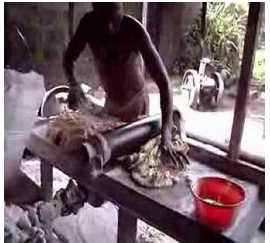 Image 3. A photo of a Madiga bread production factory worker mixing the raw material (flour) for the baking of the Madiga bread  Most countries and cultures consider bakery products to be important staple foods. Breads, buns, cupcakes, cookies, pizza bases, toasts, and other items are the most popular products. The majority of our daily calories and about half of our protein needs come from the cereals used to make bakery goods, making them an important source of nutrients. The nutrients found in bakery goods include energy, calcium, iron, vitamins, lipids, proteins, and carbohydrates [5]. 