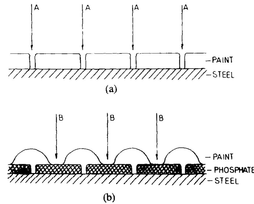 Fig. 12. Schematic representation of cathodic electrocoat deposits on: (a) bare steel; (b) phosphated steel. A and B correspond to the marks in Figs. 8(a) and (b).  N.M. Aéamovié et al. { Progress in organic coatings 25 (1995) 293-307 