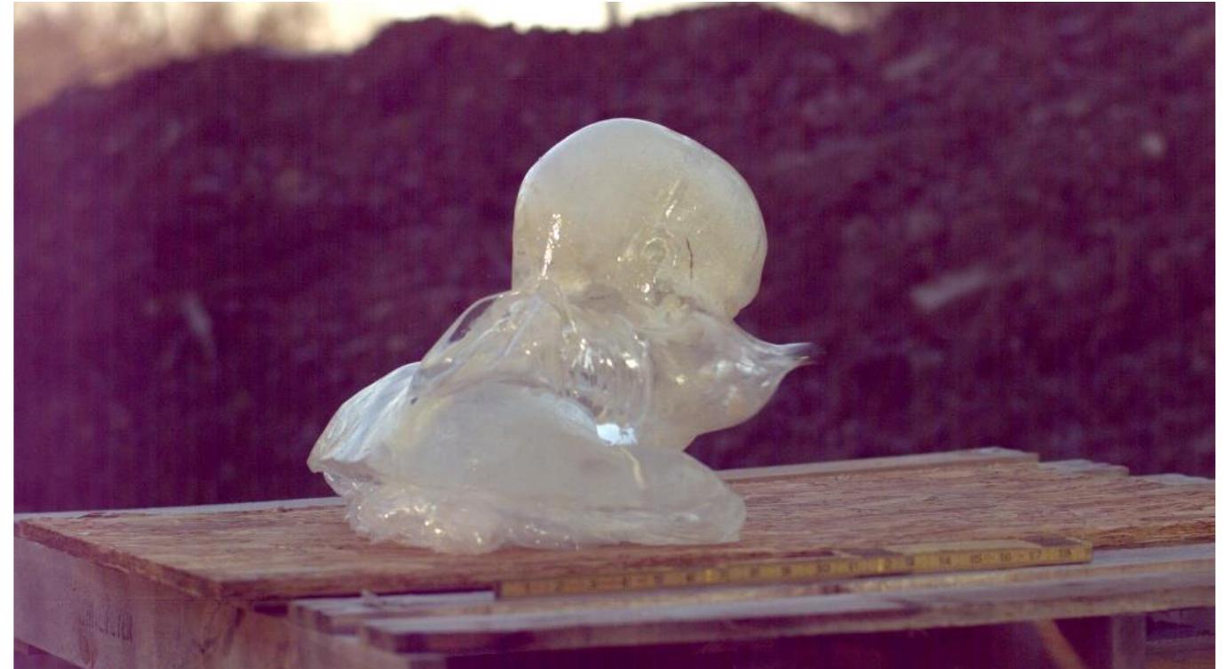 Figure 51. The ball exiting the ballistic gelatin bust. Note the massive cavitation effect on the neck a ower jaw area.  