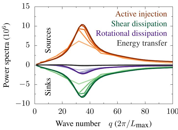 Figure $2. Spectra of the four contributions to the energy balance Eq. (9) (Eq. (S32)) for different system sizes L = nA. Here, @ is held fixed (€. = Lmax/WVAmax © Dmax/566), such that the activity number A = L?/€? increases with system size L. The wave number is rescaled by the largest system size max, such that the axis shows the mode number in the largest system (n = 2048). 