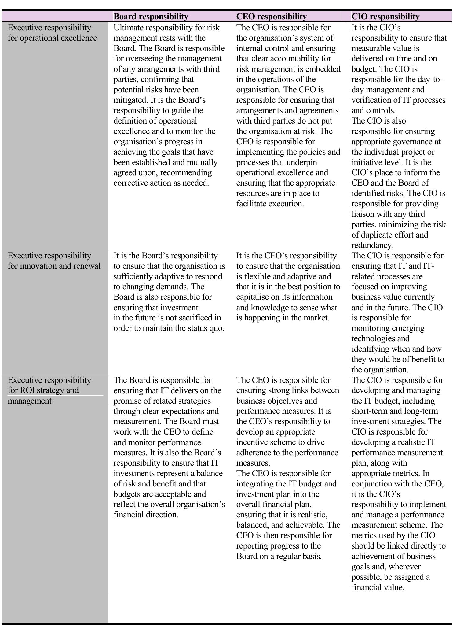 Executive Responsibilities of the Board, the CIO and the CEO (continued) 