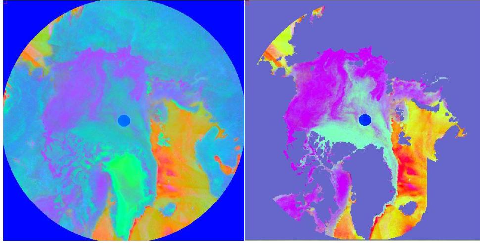 Figure 2: Unmasked image of PCA (left) and masked image of PCA (right). 