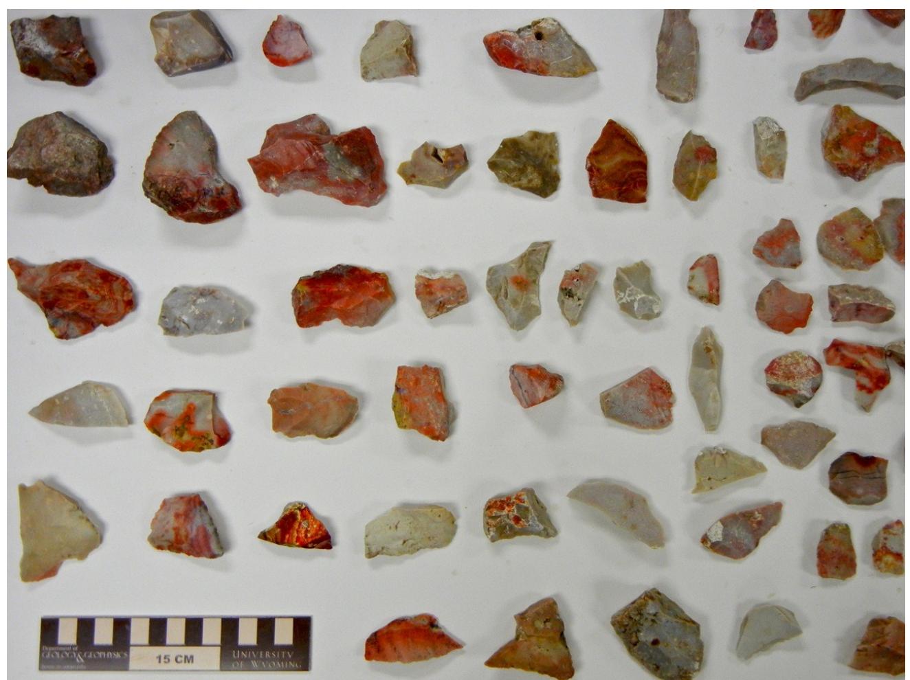 Figure 9. Pieces of El Sauz chert in varying colors 