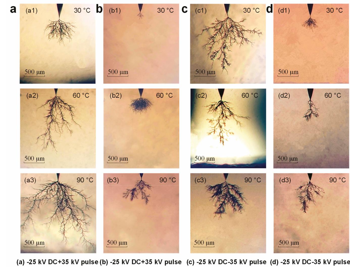 Figure 3. The electrical tree structures of the neat cross-linked polyethylene (XLPE) and XLPE—A composite. 