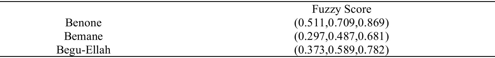 Table 13: Weighted Normalized Fuzzy Decision Matrix 