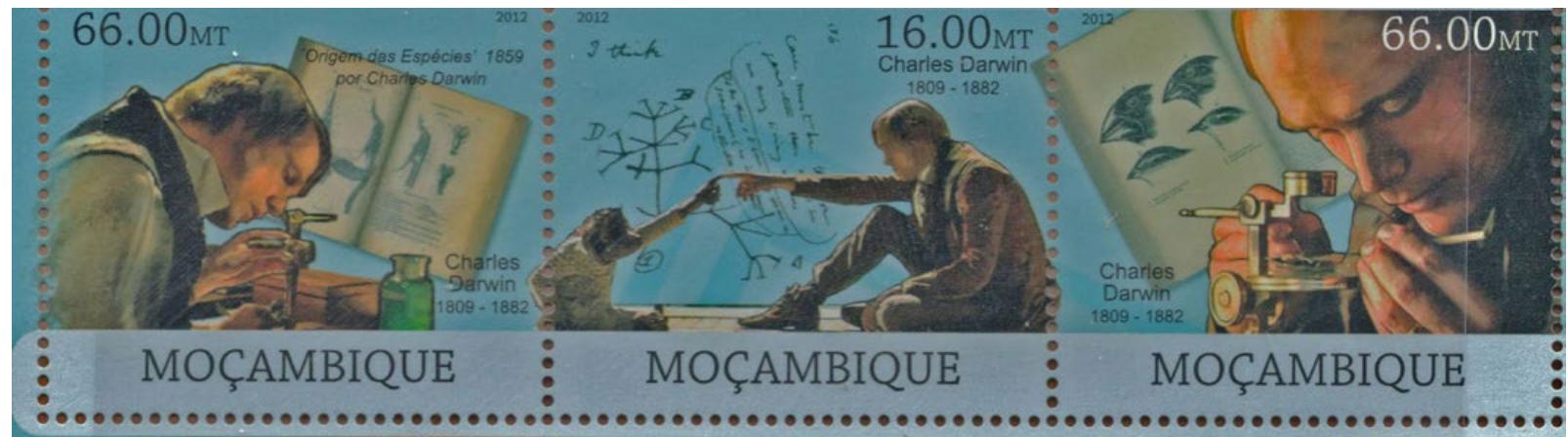 Figure 34. Stamps on the left and right show Darwin using the microscope while on the Beagle. These are from Mozambique, | 982.  However, when it came to the voyage that lay ahead of him, he consulted with a key individual from the British Museum, this time. This was Robert Brown, the senior botanist at the Museum. It was Brown who introduced the young naturalist to the Bank’s  single lens scope (pictured, Figures 33 and 34). It  single lens scope (pictured, Figures 33 and 34). It 