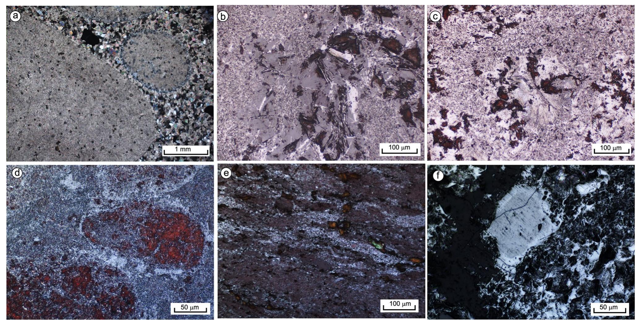 netite, cronstedtite and greenalite under dual mode microscopy of K-27. d An iron-rich rock K-45, preserving an oolite containing acicular grains of greenalite and magnetite, and micro-platy cronst- edtite viewed under dual mode microscopy. e A banded iron-rich rock K-30, showing disrupted bands and preservation of green—brown cha- mosite in dual mode microscopy. f An oolite of magnetite (dark gray) surrounded by hematite (light gray) in K-27, indicating oxidation/ replacement at the margin viewed in dual mode microscopy; cham- osite oolites are present around the grain  Fig.4 Photomicrographs of selected analyzed samples. a A carbon- ate rock (dolomite), M-41, showing pisolites of fine-grained dolo- mite bordered by a quartz-rich laminae and a medium-grained matrix between the pisolites under plane polarized light. b Oolites of cham- osite and fine-grained magnetite with a border laminae of Fe-silicate phase within a fine-grained matrix of hematite-magnetite and cham- osite in K-17 seen under dual mode microscopy (combined reflection and transmitted modes). ¢ Retention of oolites within a fine-grained mixture of magnetite-hematite, showing fibro-radial grains of mag- 