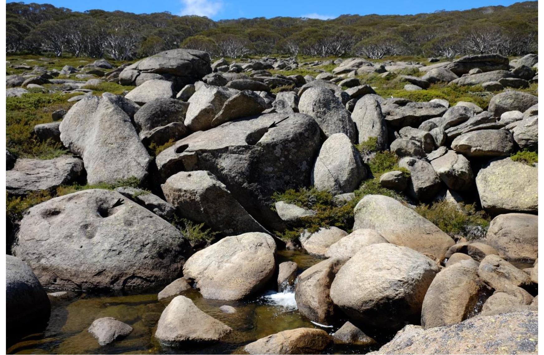 to their source is used to demonstrate the extent and nature of prior glacial activity.  itive to their specific catchment. Provenance of clasts included in glacial debris when traced  Mowamba Granodiorite, ggb11, the local bedrock. The blocks are imbricated and the two blocks with 