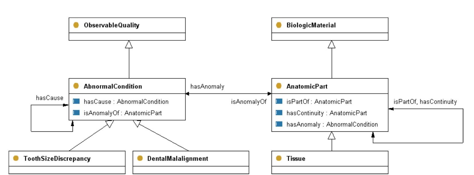 Fig. 3. Integration schema  Fig. 2. Refinement for AnatomicPart and relation hasContinuity 