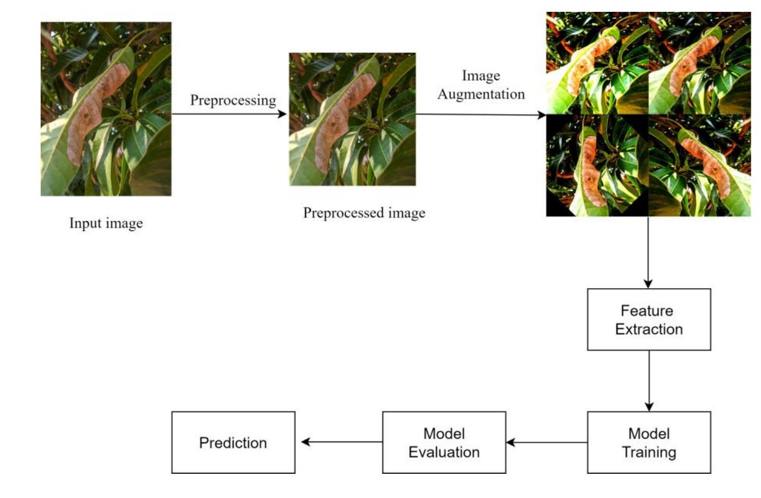 Figure 1. Overview of the leaf disease detection workflow  Figure | details the approach for leaf disease detection, beginning with preprocessing, where the dataset is enhanced through resizing, normalization, contrast adjustment, and noise reduction. Next, augmentation techniques like rotation, flipping, and scaling are applied to ensure the augmented images still accurately represent the original classes. Key features are then extracted from the leaf images to highlight important attributes such as texture, color, and shape, transforming the raw data into a suitable format for machine learning models. The selected models are trained over 30 epochs to refine their pattern recognition. Finally, the models are evaluated using accuracy, precision, recall, and Fl-score metrics, with predictions made based on the best-performing model 