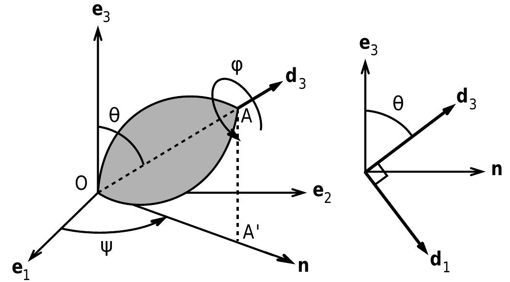 Cn en Integration of Euler’s equations is not trivial even for simple-shape:  bodies. Often, however, the angular velocity of a body may be a functio: of only one or two variables. In other cases, as in the study of airborn motion, the rotational velocity is found by setting the angular momen tum about the center of mass equal to a constant. Additionally, commer cially available programs such as Working Model 3D can be used to de termine both the motion of the center of mass and the rotation of the bod around the center of mass for a rigid body or a tree of rigid bodies. Ye another option is to quantify the motion using photogrammetric means and then use the laws of motion to evaluate the resultant force and th resultant moment acting ona body segment.  — Bo wee we 7 g . Ss  Equation 9.22 determines both the angular velocity and the orienta- tion of the body in space, provided that the orientation and the angu- lar velocity are known at an initial time and that the resultant external moment acting on the body is specified as a function of time. If an ob- ject rotates about a fixed point O, the equations of angular momentum with respect to point O are identical to that of Eqns. 9.22 with I°j re- placed by I°j.  Wee ee ee Se I nt  ee ee ee Ey RE Se ad oe mE Me ee Mee mee eS | 