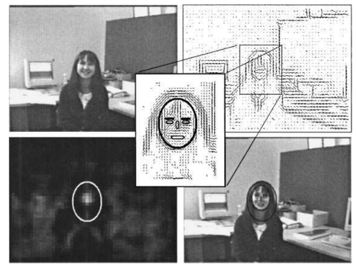 FIG.5. Theface detection system of Maio and Maltoni [120]. Reprinted from Pattern Recognition, 33 Maio, D. and Maltoni, D., Realtime face location on gray-scale static images, 1525-1539, Copyright 2000, with permission from Elsevier Science.  In the system of Maio and Maltoni [120], the input images are converted to a directional image using a gradient-type operator over local windows (7 x 7 pixels) (see also Froba and Kublebeck [47]). From this directional image they apply a two stage face detection method consisting of a generalized Hough transform and a set of 12 binary templates representing face constellations. The generalized Hough transform is used to generate face candidates by searching for ellipses. The face candidates are then fed to the template matching stage which accepts or rejects the face candidate as shown in Fig. 5. By efficient implementations and 