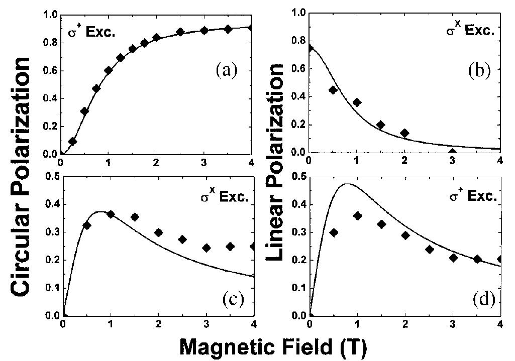 FIG. 3. Magnetic field dependence of the circular (linear) po- larization under circularly polarized o* [(a),(d)] and linearly polarized a* [(b), (c)] excitations (T = 1.7 K). The displayec polarization values are the ones measured at any time delay after the pulsed excitation since we never observe any polar. ization decay. The solid lines are the best fits obtained with Eqs. (1a)-(1d): |g|/@ = 14.5 ps (see text). 