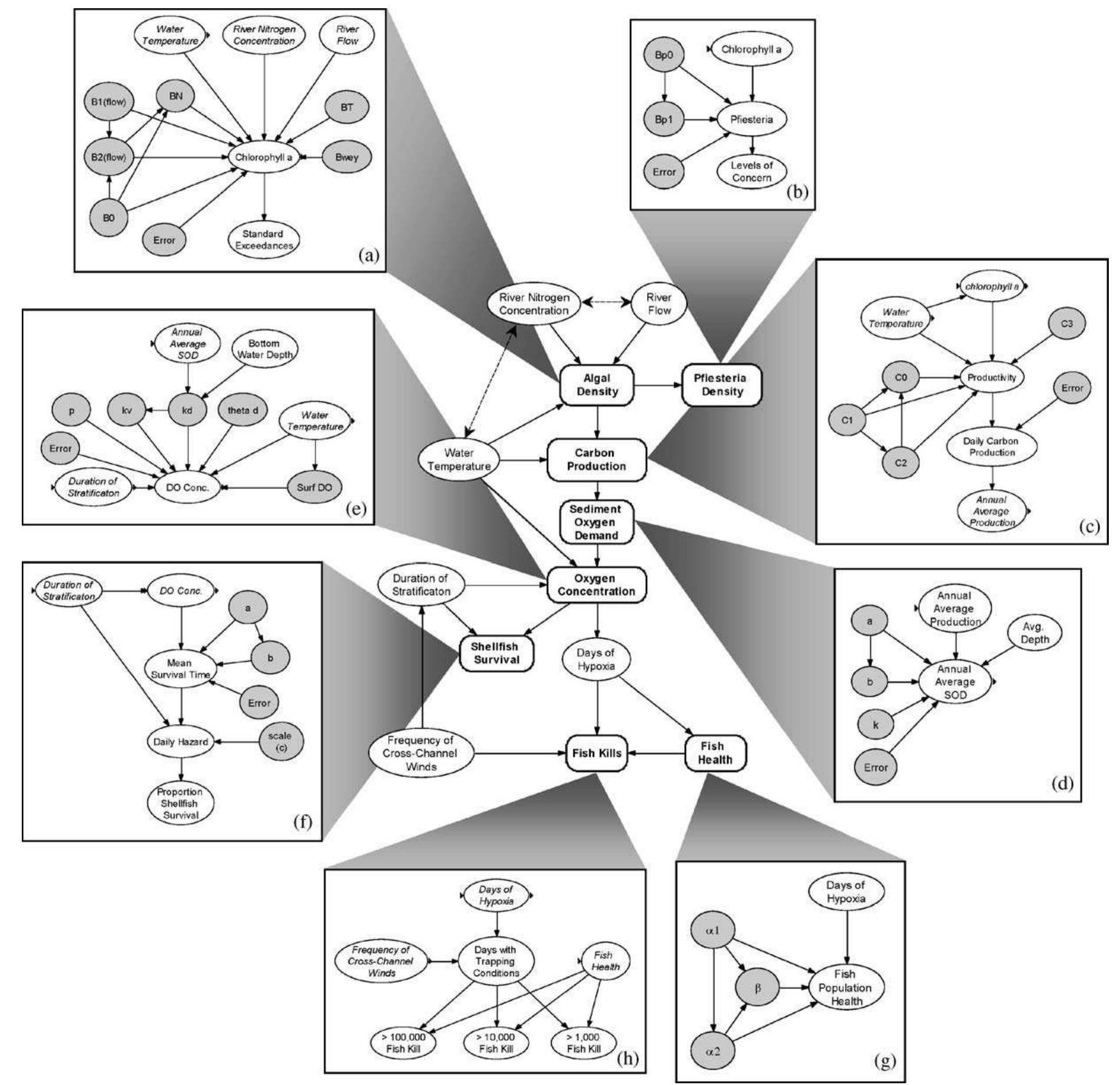 Fig. 2. Centre figure: graphical representation of the full Bayesian network for Neuse estuary eutrophication. Variables are indicated with rounded nodes, and causal relationships are indicated with arrows. Surrounding insets: networks representing submodels of the main network. Shaded nodes indicate model parameters. Double-headed, dashed arrows indicate a correlation between marginal variables that may be the result of exogenous factors, rather than causal influence. 