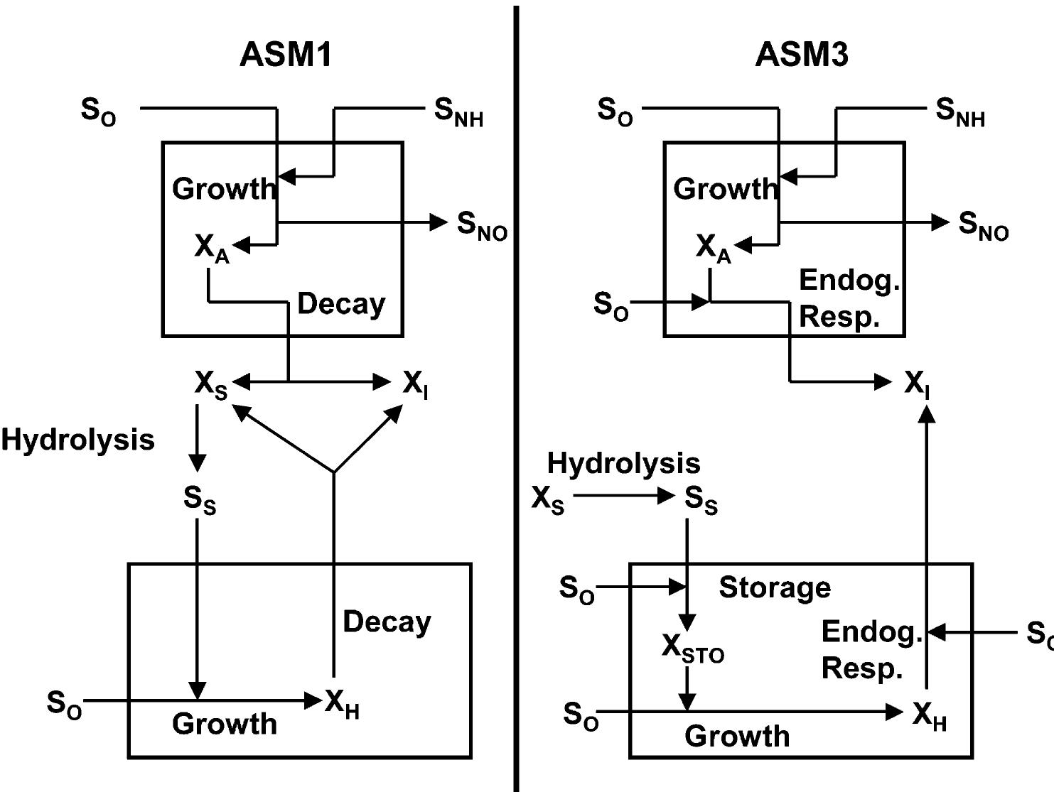 Fig. 2. Substrate flows for autotrophic and heterotrophic biomass in the ASM1 and ASM3 models (modified from Gujer et al., 1999). 