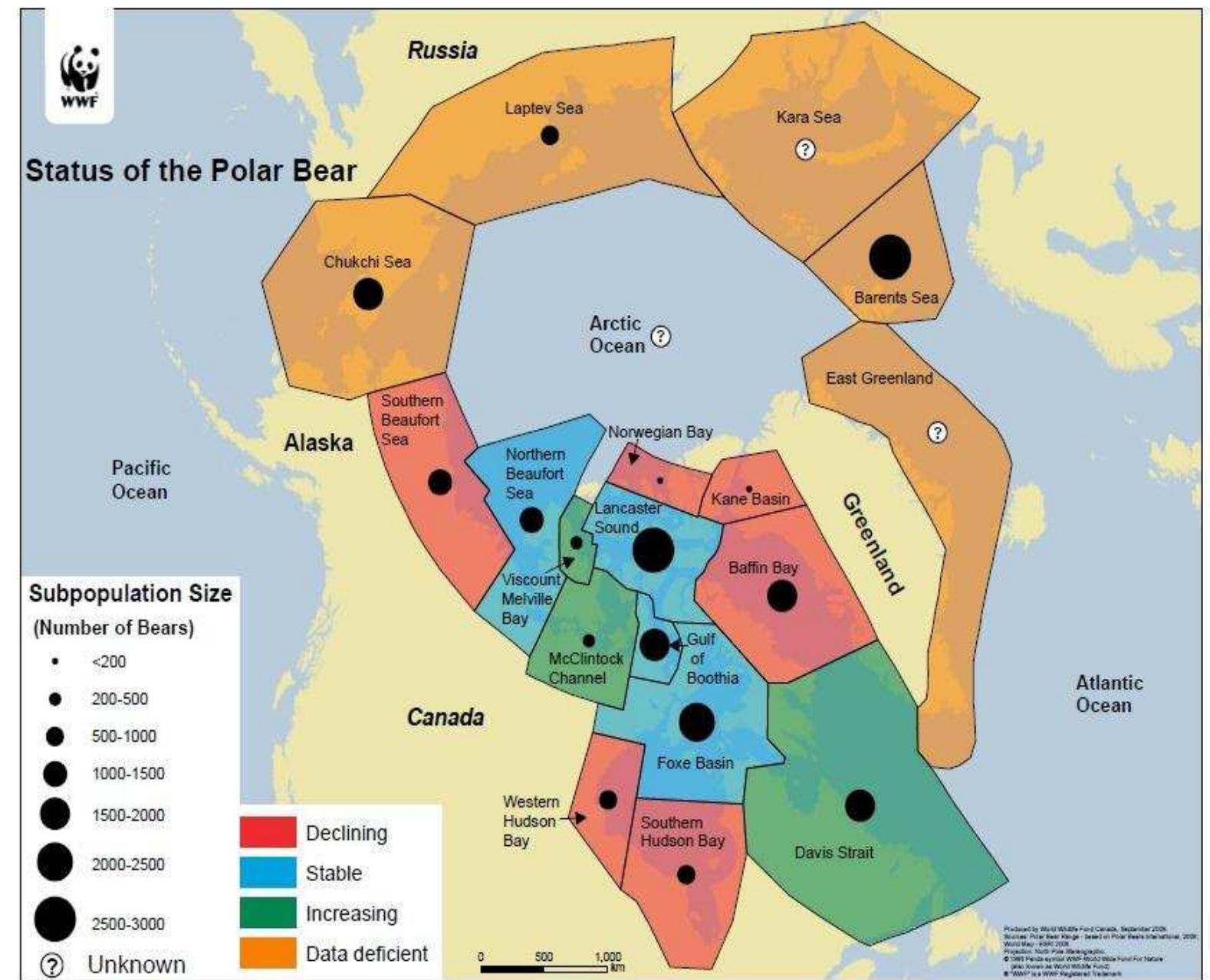 Figure 12. Population sizes and trends of the Polar Bear. Source: WWF 2011  Polar bears (Ursus maritimus) live throughout the ice-covered waters of the Arctic Circle, ranging as far south as the sea ice extends. They are found in Canada, Greenland, Norway, Russia, and the United States. Some populations of polar bears have year long access to sea ice enabling them to hunt; others with annual summer ice melt must retreat to land and survive off of fat stores until the ice returns (IUCN 2013). 