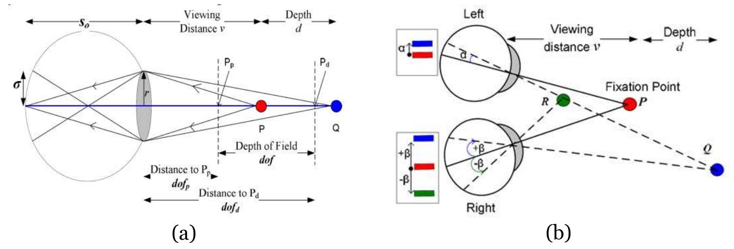 Figure 1. (a) Geometry of retinal blur, (b) Geometry of binocular stereopsis 