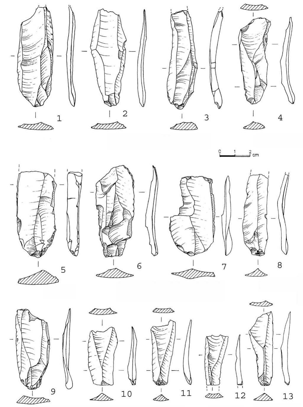 Fig. 2 Bidirectional blades. Sha’ar Hagolan, Layer 3b, Area N.  The cores were utilized until they were too small (Fig. 4:4) or bore too many hinges (Fig. 4:1-3). It is interest- ing to note that some of the cores were discarded when the striking platforms were overused, even though their removal surface was still long (Fig. 4:1-2). This might explain the absence of core tablets in the assemblage as striking platforms were not rejuvenated. 