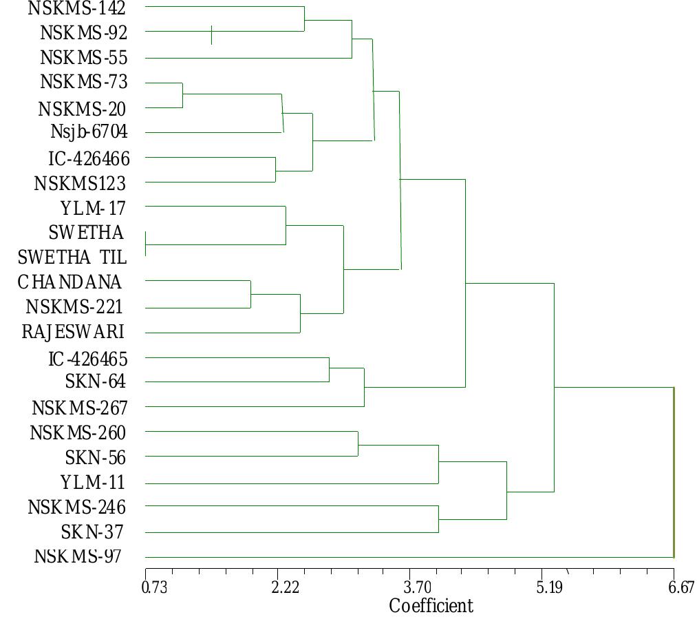 ‘ig 3. Cluster diagram of 23 accessions of S. indicum morphological data based on Euclidean genetic identity. 
