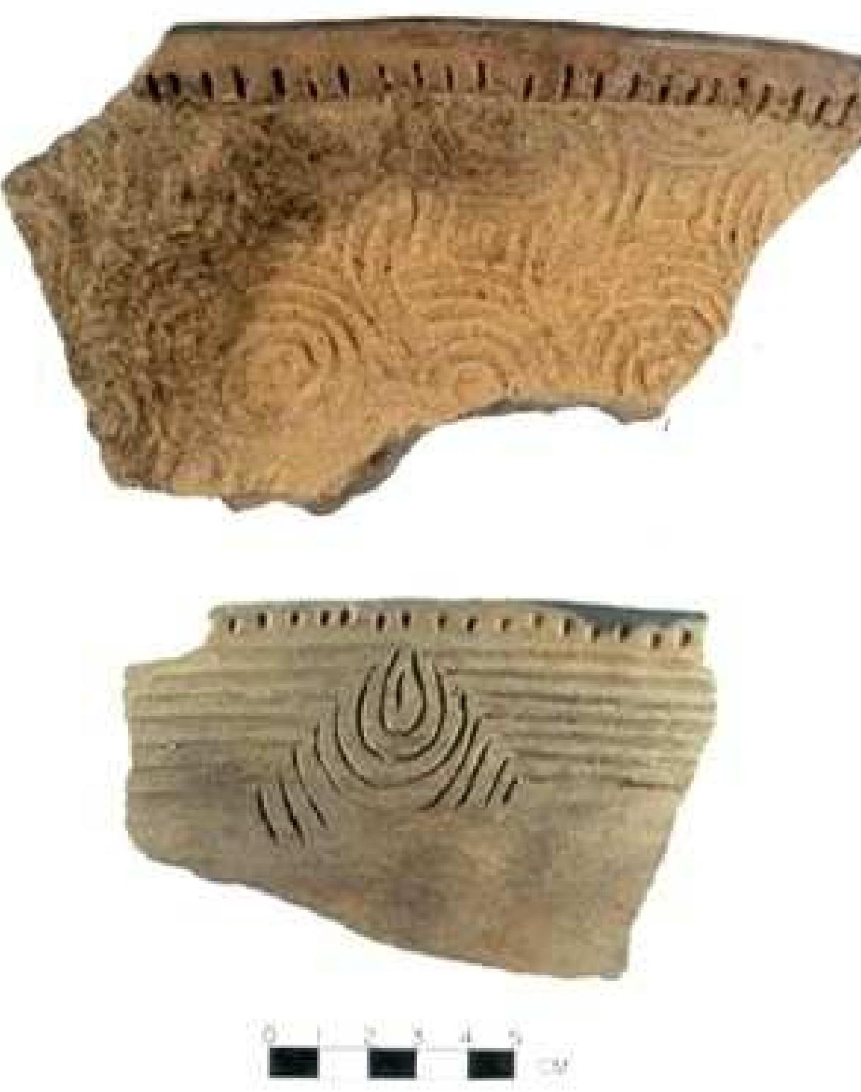 Figure 19-5. Burke pottery from the Berry site (31BK22; after Beck et al. 2006:69; Moore 2002:85). 