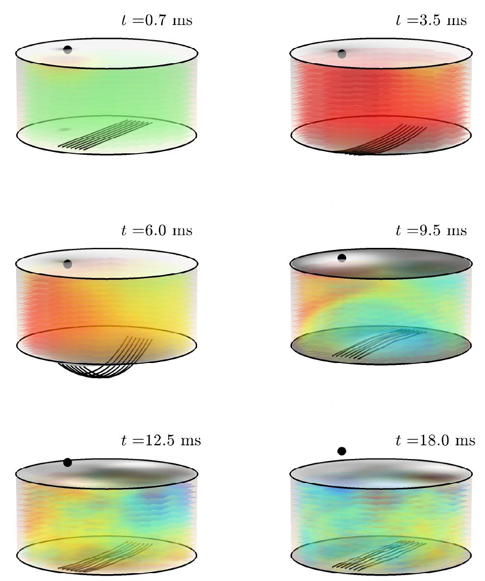 Figure 3: Snapshots of the evolution of the snare drum system at times as indicated. The pressure variations from atmospheric in- side the cavity are depicted (green: zero variation, red: positive variation, blue: negative variation.) Displacements have been al- tered for illustration purposes. 