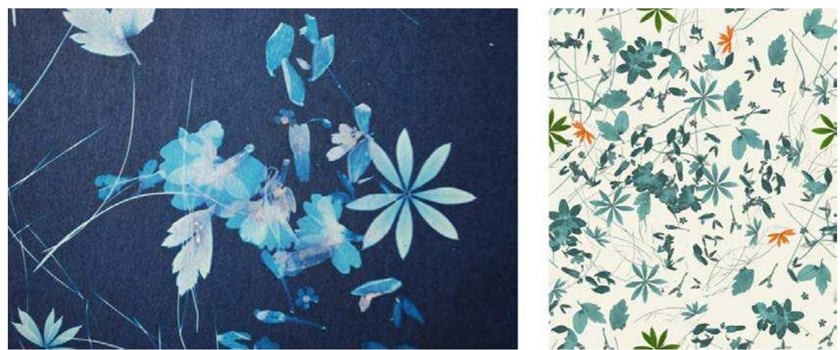 Figure 7: Initial development from cyanotype to design for fabric and wallpaper 2014. 