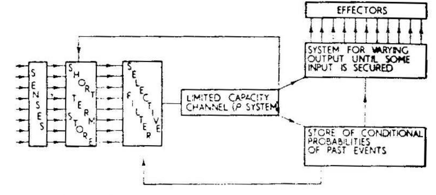 Figure 4: Broadbent’s information flow chart of the filter model of attention. Reprinted from Broadbent (1958). 