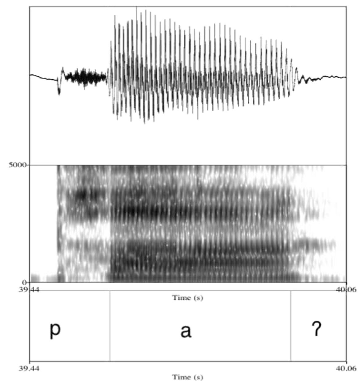Fig. 5. Example of vowel segmentation. 