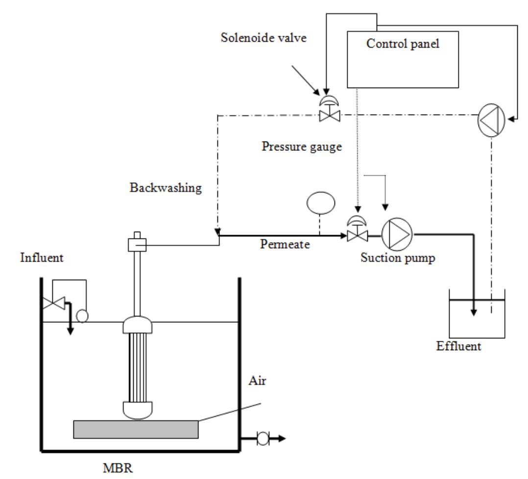The three laboratory-scale in a submerged MBR systems consisted of an influent tank, 6 L of acrylic bioreactor, Ultrafiltration (UF) membrane, and an effluent tank. The UF membranes used were polysulfone hollow fiber membranes (surface 0.042 m?, 100 kDa molecular weight cut-off) supplied  by General ] ttom of the  Electric (U.S.A.). Air was continuously introduced to the bo- membrane module to move and slough membrane fibers, and  to prevent fouling. In addition, the air was introduced into the reactor with a macro-bubble air diffuser, and the airflow rate was adjusted by an  air flowmete  rat 5 Lmin~!.  Figure 1: Schematic diagram of the laboratory-scale MBR system 