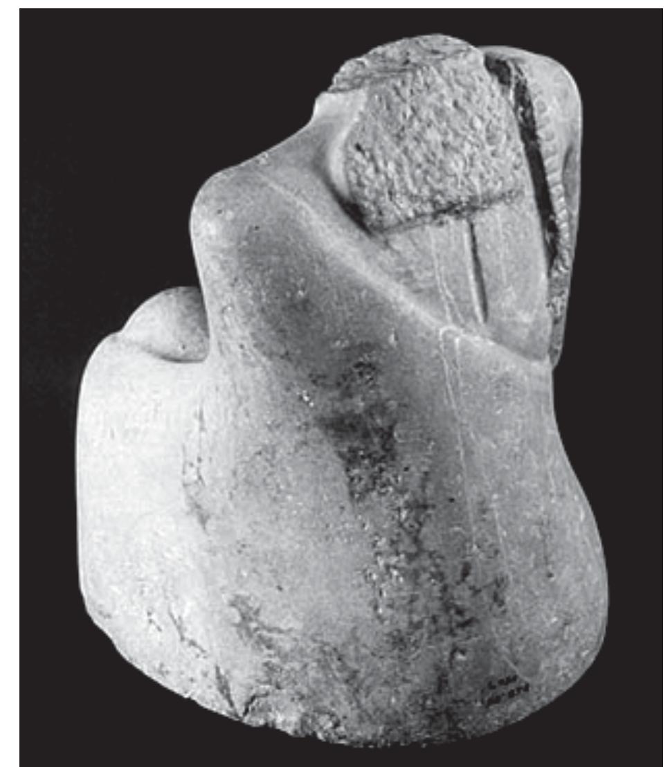Fig. 29b. Back view. 