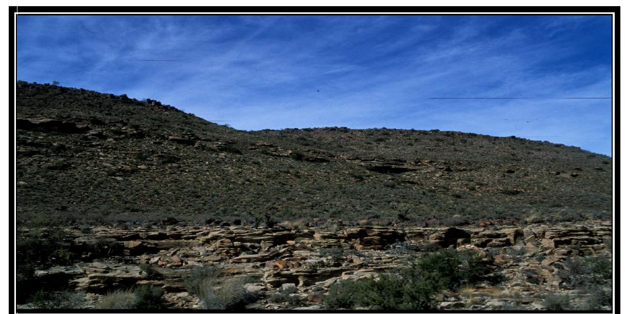 Figure 4.5: Koega 1. The site is the small shelter which is shadowed in the middle of the hillside, to the right of the immediate centre of the picture. 