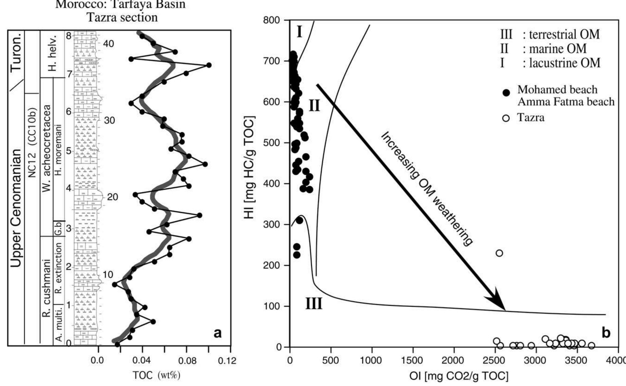 Fig. 9. a. TOC content of the Tazra section in the Tarfaya basin. Grey line marks 5-point average. Note that TOC contents increase just after the first 013C peak and remain sig- nificantly higher in the upper part of the section. The unusually low TOC values are a result of organic matter loss due to weathering. b. Hydrogen and oxygen index (HI, Ol) in the Tazra section. Note the very low TOC and HI values but anomalously high OI values compared with nearby coeval sections at Mohamed and Amma Fatma beaches indicates deeply weathered organic matter at Tazra.  Original 8!80 values are not preserved in diagenetically altered sediments, such as at Tazra (see bulk rock mineralogy) and there- fore calculated seawater temperatures do not reflect primary oceanographic signals. Nevertheless, temperature trends tend to be preserved (Schrag et al., 1995). In the Tarfaya basin, the most positive 3'°0 values coincide with the positive 5°C excursion (Fig. 8) and suggest cool temperatures. Lighter 5!°0 values in the trough and preceding the 8!°C peak-1 indicate warm periods. In the recovery phase after the 8'°C excursion, gradually increasing 5'80 values through the anoxic interval of the W. archeocretacea zone suggest climate cooling.  Information on the composition and maturity of organic carbon can be achieved by pyrolytic measurements (Espitalié et al., 1986; Behar et al., 2001). With this method the type of organic matter is determined by the hydrogen index (HI) and oxygen index (OI), which approximate the H/C and O/C atomic ratios, respectively. Based on the observed range of HI-values (0 to 20 mg HC/g TOC) and Ol-values (2500 to 3500 mg CO3/g TOC), the organic matter of the Tazra section is primarily type III organic matter (Fig. 9b) (Espitalié et al., 1986). However, such anomalously high OI values indicate significant alteration and oxidation of organic matter, which makes the oxygen and hydrogen indexes unreliable. At Mohamed and Amma Fatma beaches, coeval intervals show a con- trary trend to Tazra, with high HI and low OI indicating a marine source for the organic matter. It is therefore likely that the observed TOC increase in the upper part of the Tazra section may only be the remnants of the considerable organic matter accumulation due to low oxygen and enhanced preservation due to anoxia. Alterna- tively, the Tazra organic matter reflects the proximal location of this section. This is also indicated by the order of magnitude higher TOC accumulation in cores S75 and S57 only a short distance from the 