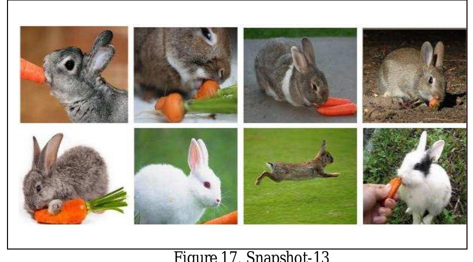 Snapshot 13, shown in figure 17, demonstrates an example of the feedback a user would get after entering Arabic text into the system that translates as, “A rabbit  has brown or white fur. It eats carrots and moves around by jumping.” 