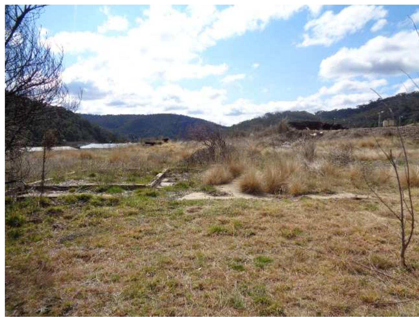 Plate 3.9: The office/wash house ruing viewed from the west. (Ray Christison 5.9.2015) 