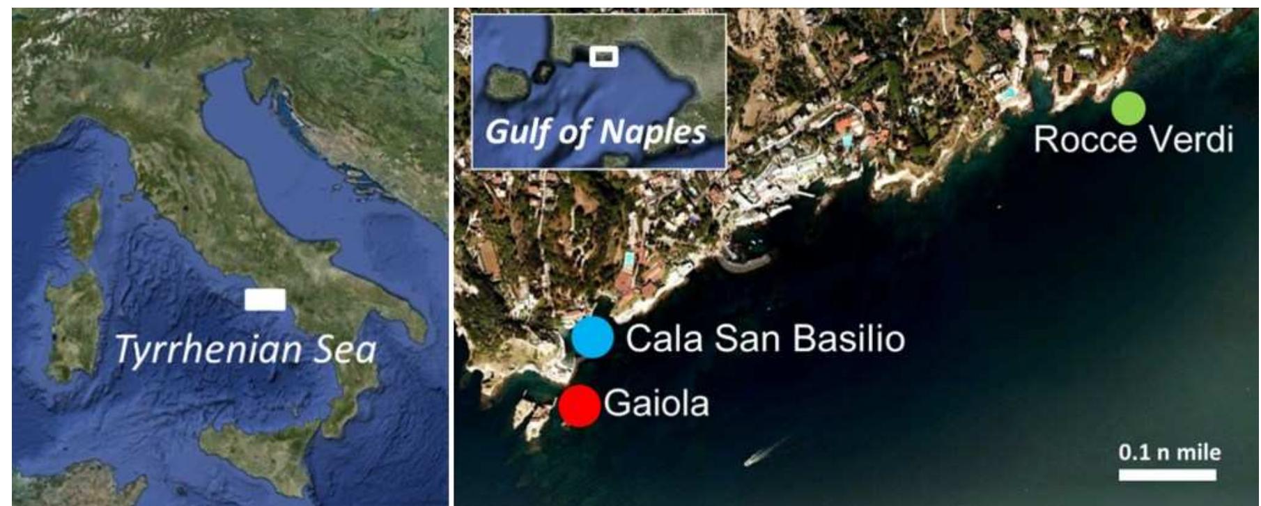 Figure 2.1. Sampling sites along Posillipo coasts.  2.4 Material and methods 