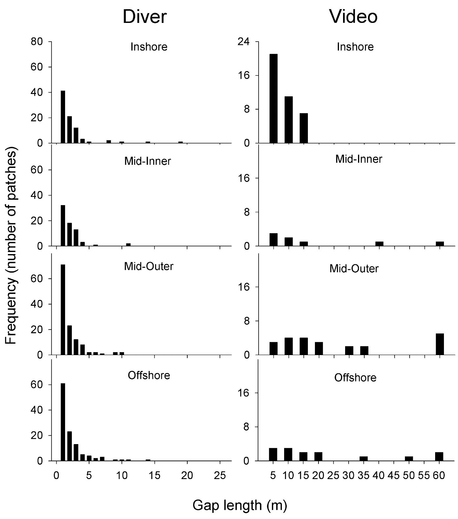 Fig. 2. Frequency distribution of lengths of open-gap patches at each of the four locations based on diver transects and towed video 
