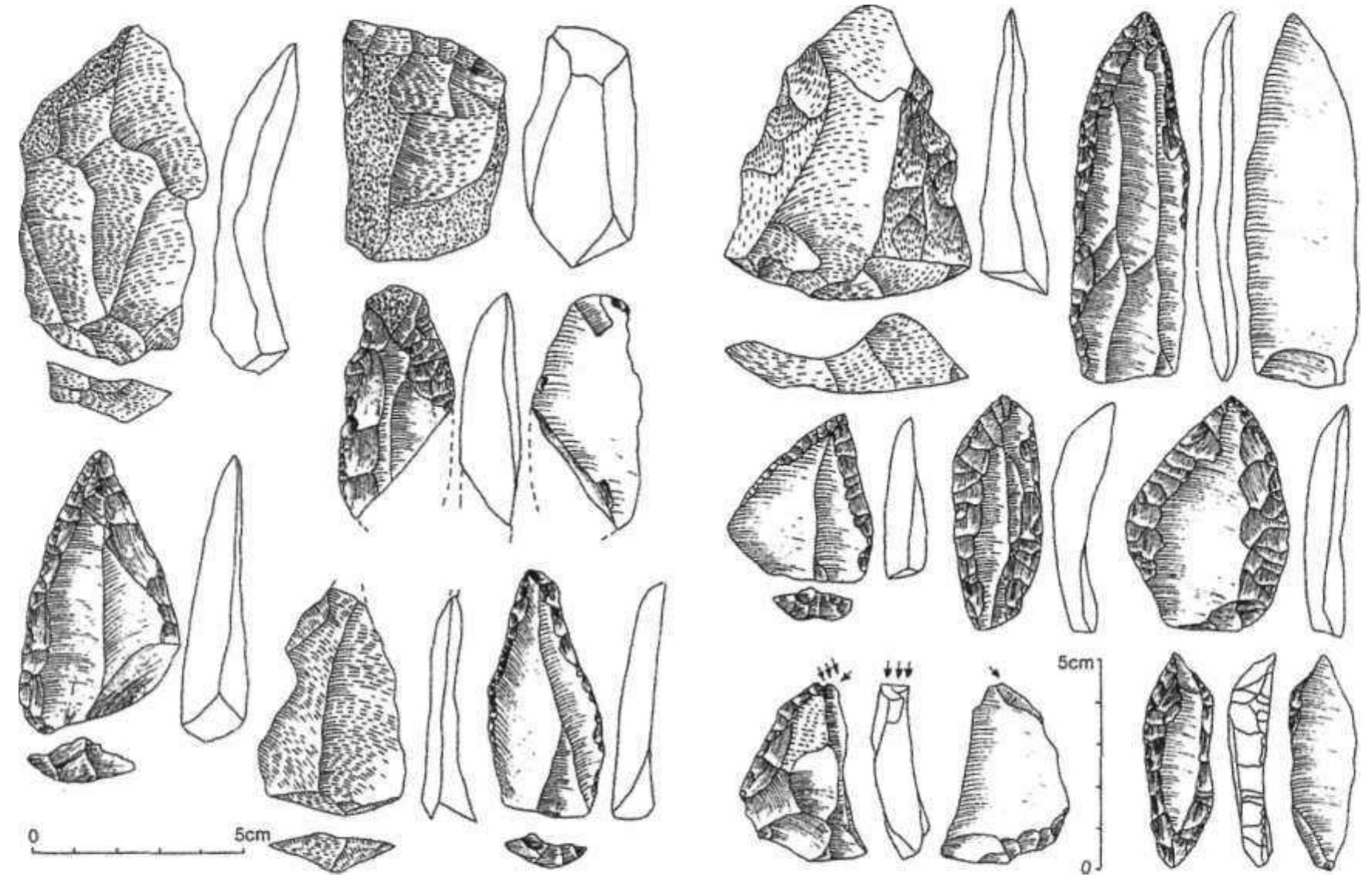 Fig. 4. Implements from Baco Kiro cave, layer 13-12: Levallois flakes, initial core, Mousterian point, side-scraper, burin, perforator. 